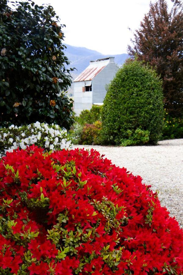 Alpenhorn Holiday Units Mount Beauty Εξωτερικό φωτογραφία