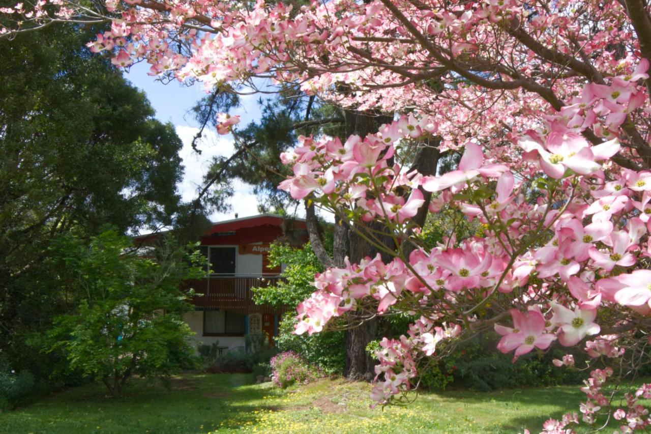 Alpenhorn Holiday Units Mount Beauty Εξωτερικό φωτογραφία
